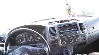 A hot chick hitchhikes and gets fucked on the way