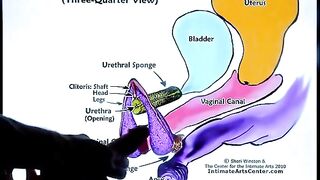 Squirting tutorial 2 by Mr PussyLicking, the master of g-spot action!