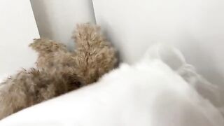 The guy sniffed panties and fucked curva in a wet pussy, a steamy scene reminiscent of Real Orgasm’s intense and raw content