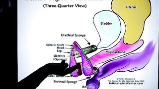 How to Squirt? The ultimate guide by Mr. PussyLicking, featuring intense, wet orgasms!