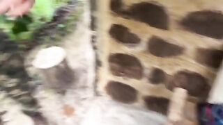 Couple getting caught fucking in the jungle