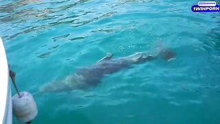 A hot girl is fucking with her boyfriend on the boat