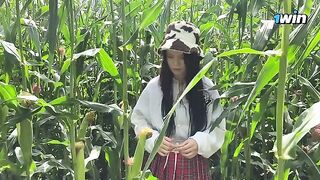 Security guard issued a summons to a thief in the cornfield in a steamy encounter