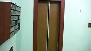 A girl came to her brother for help and began to suck him