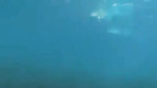 Fucking divers at the bottom of the ocean deep