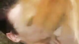 A cute young girl was fucking with a guy in the park without any complexes