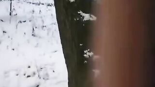 A couple tried to freeze their intimate moment with a unique twist