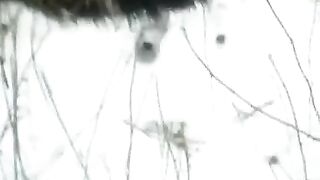 Girl made a blowjob on the street during the winter, what a daring act!