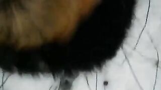 Girl made a blowjob on the street during the winter, what a daring act!