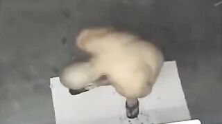 Nude man in the shower, hidden camera captures the scene