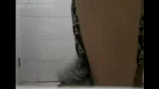 Asian beauties have sex while the guy is rolling his tongue on their pussies
