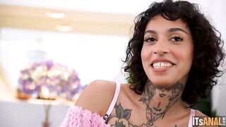 Everything for a full sex experience. A cute kitten in the kitchen with toys