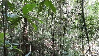 A breath of fresh air and the warmth of her lips on my cock in POV
