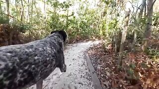 A couple has fun in the Florida jungle, exploring their wild side