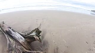 The beach is always humid – from the sea and because of it